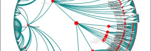 Taxonomic Tree Visualization and Nested List Parsing